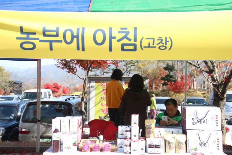 장수 베리 굿팜 이미지
