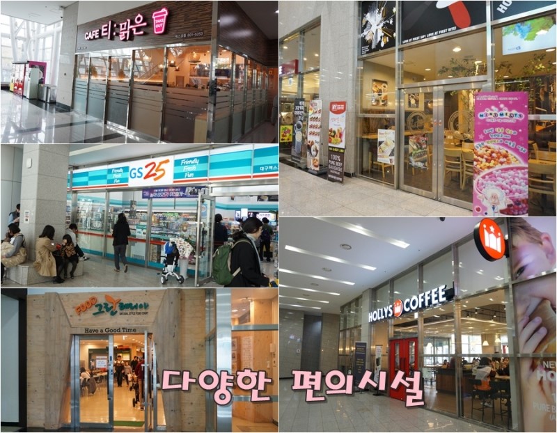 그린테리아1 이미지