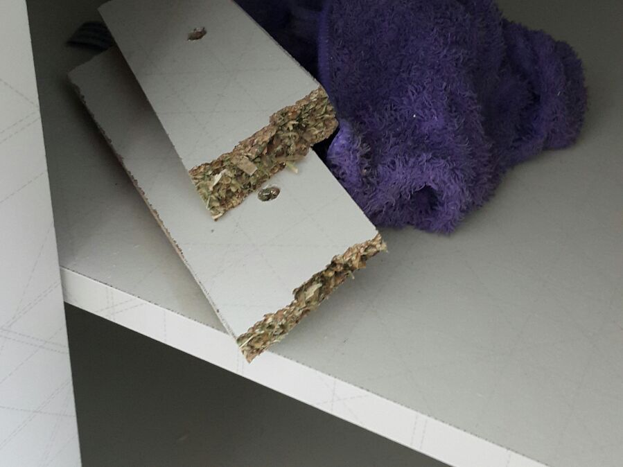 우진클린 이미지