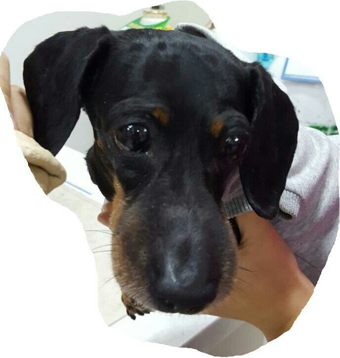 포유25시 이미지