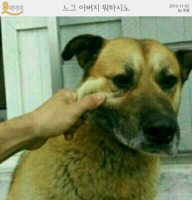 공감 이미지