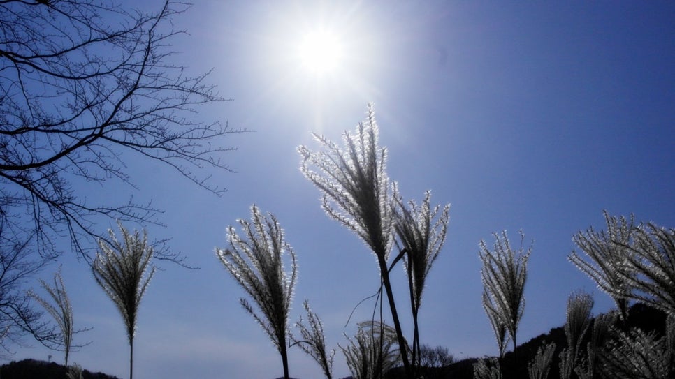 오케이캠핑장 이미지