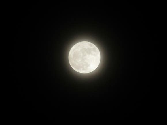 바다2호 이미지