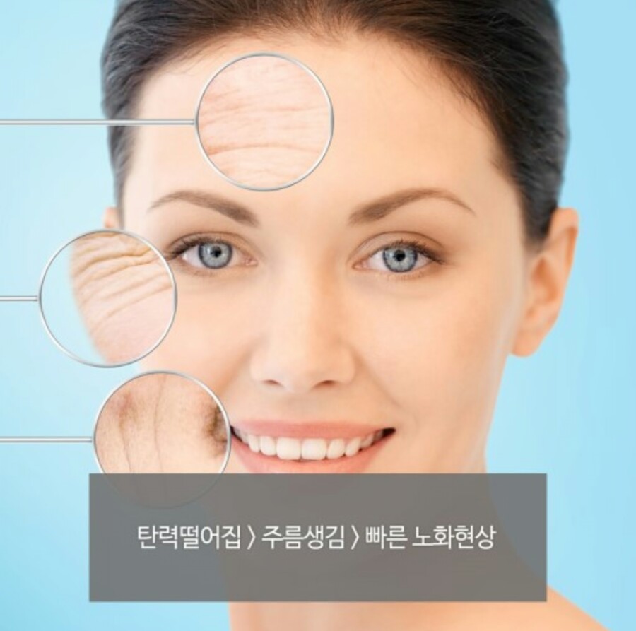 케어셀라 이미지