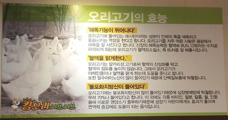 진진오리 이미지