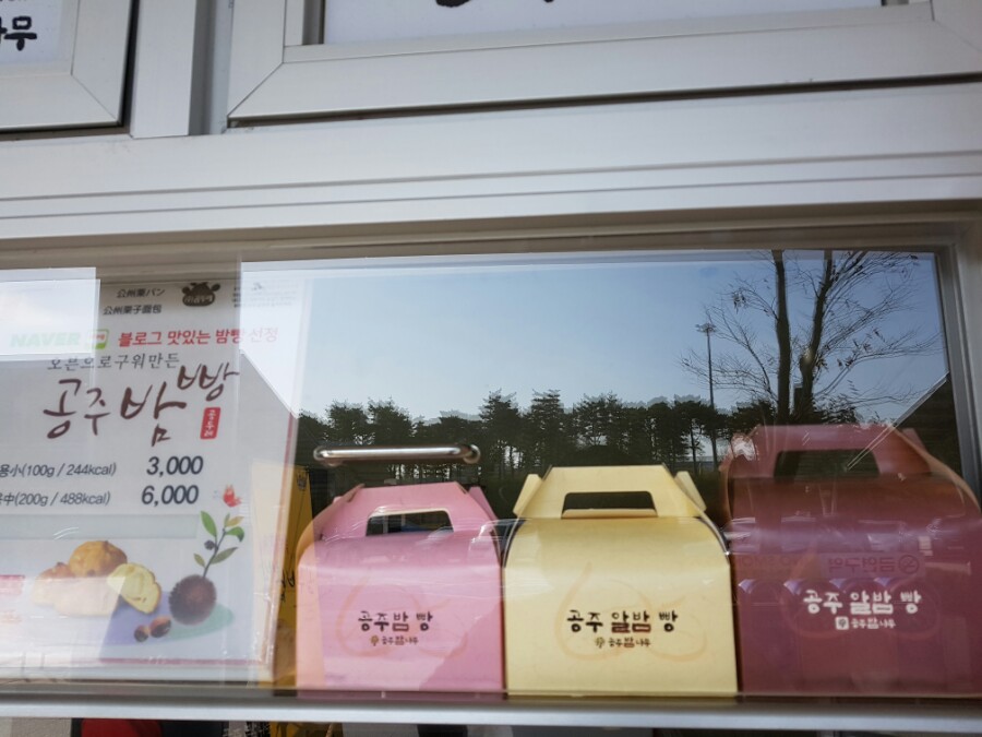 공주밤나무 이미지