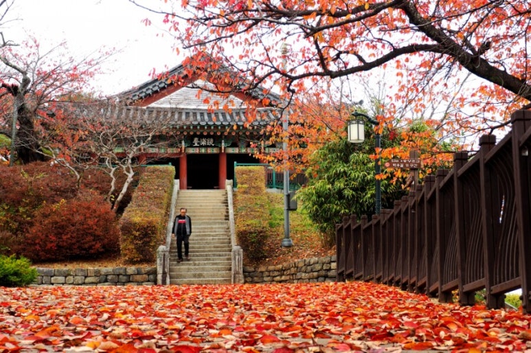 강릉문화재단 이미지