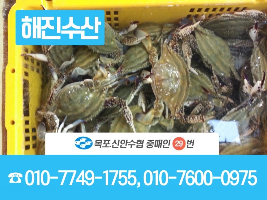해진수산 이미지