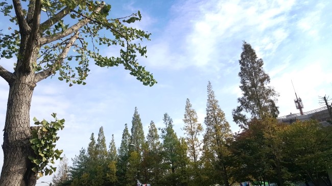 아산시청앞사진관 이미지