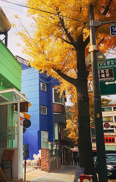카페지밥 이미지
