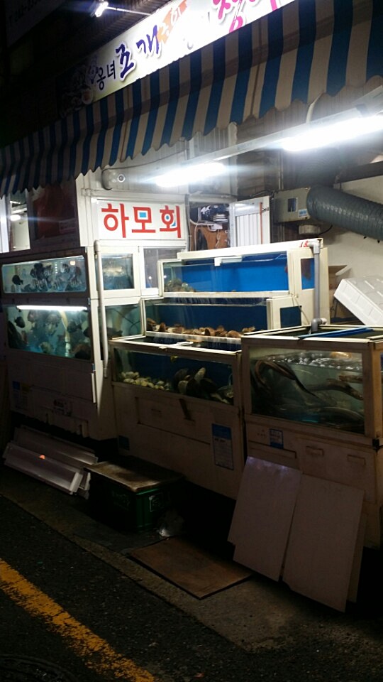 옹녀조개강쇠장어 이미지