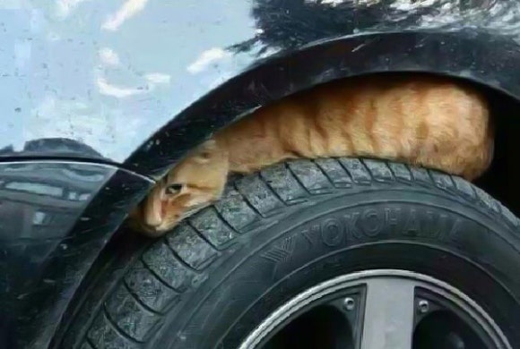 노크(Knock) 이미지