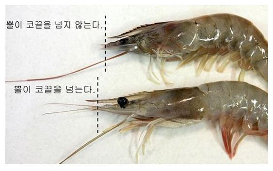 대하반점 이미지