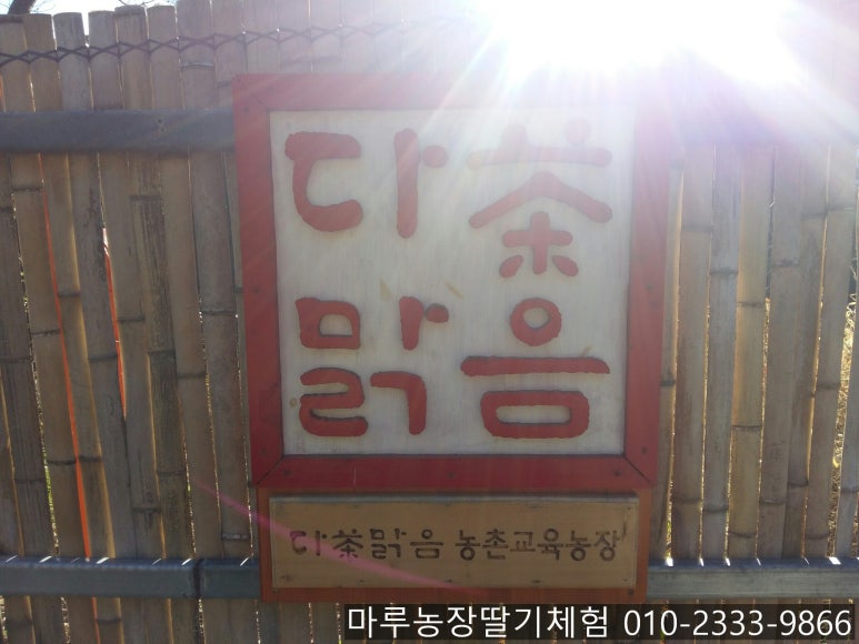 다맑음 이미지