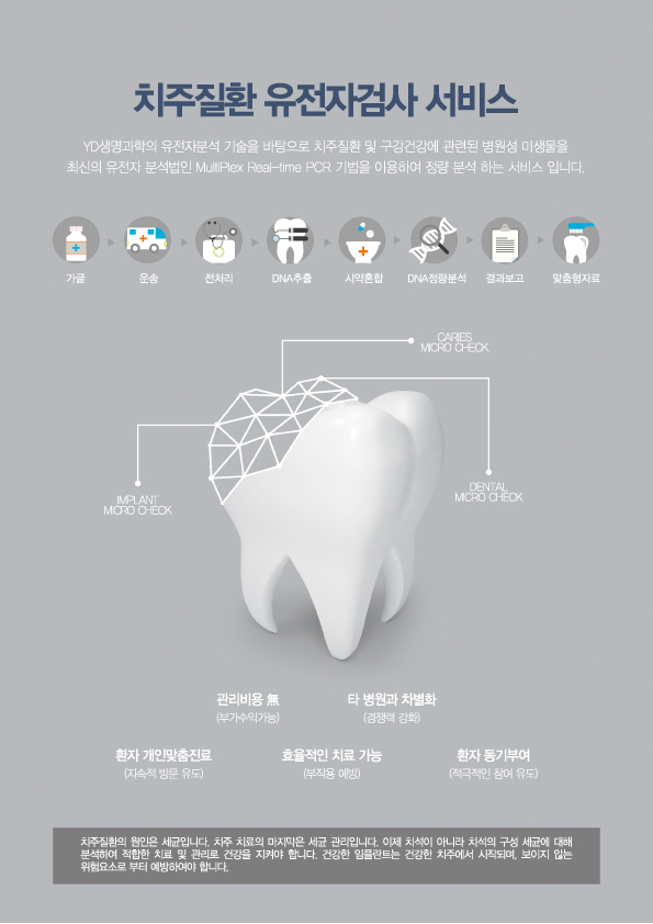 와이디솔루션 이미지