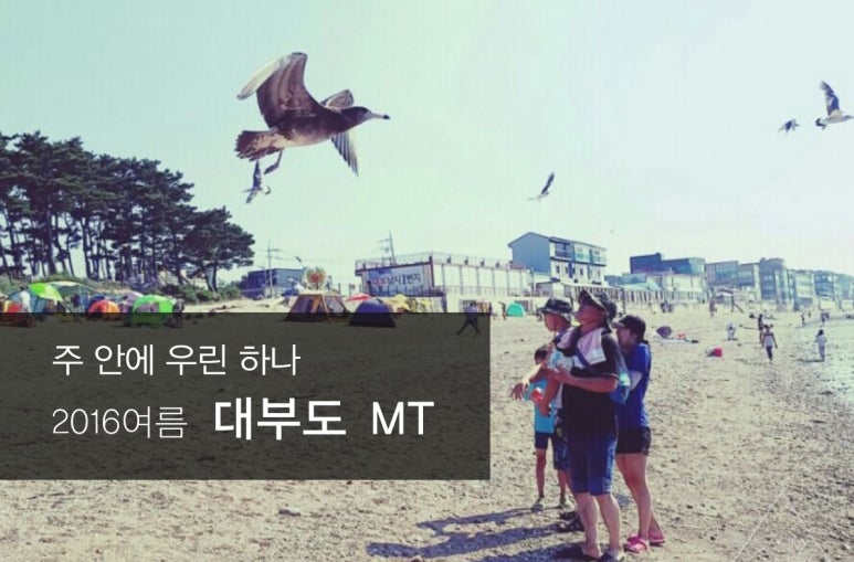 (주)진광 이미지