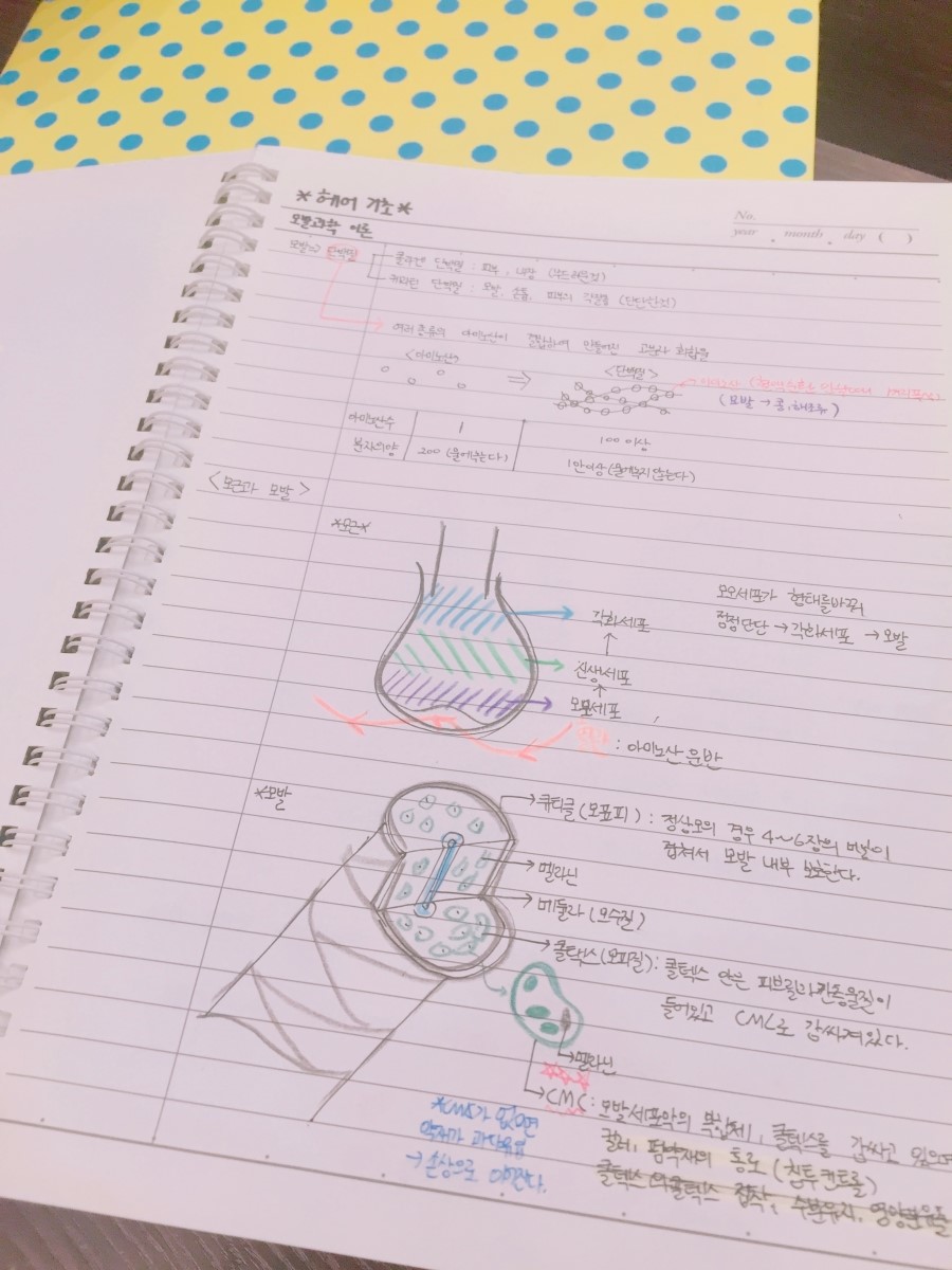 은미용실 이미지