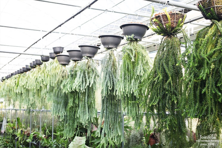 석송농장 이미지