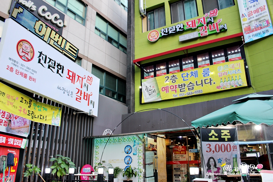 친절한 돼지씨 이미지