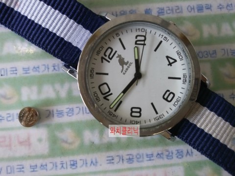 롯데대구캉골 이미지