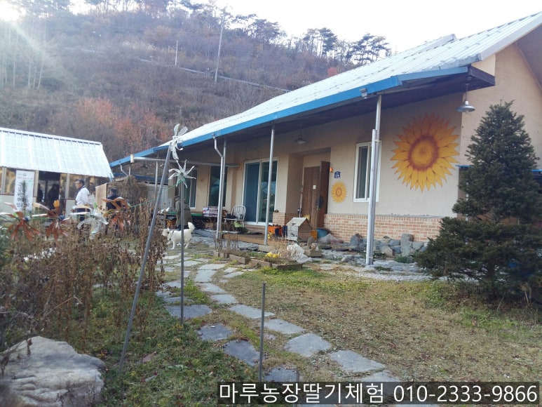 다맑음 이미지