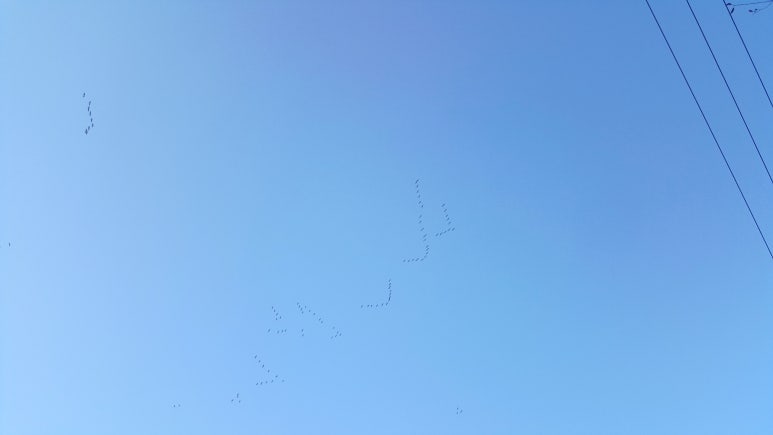 아산시청앞사진관 이미지