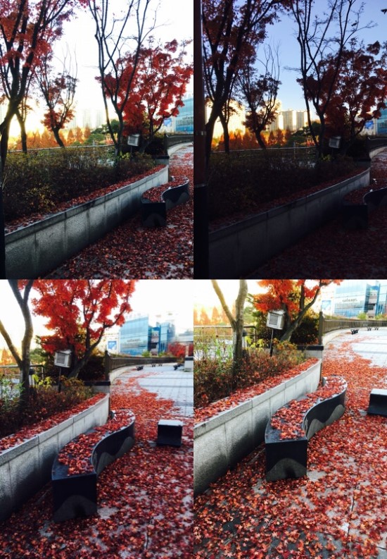 바스티나 이미지
