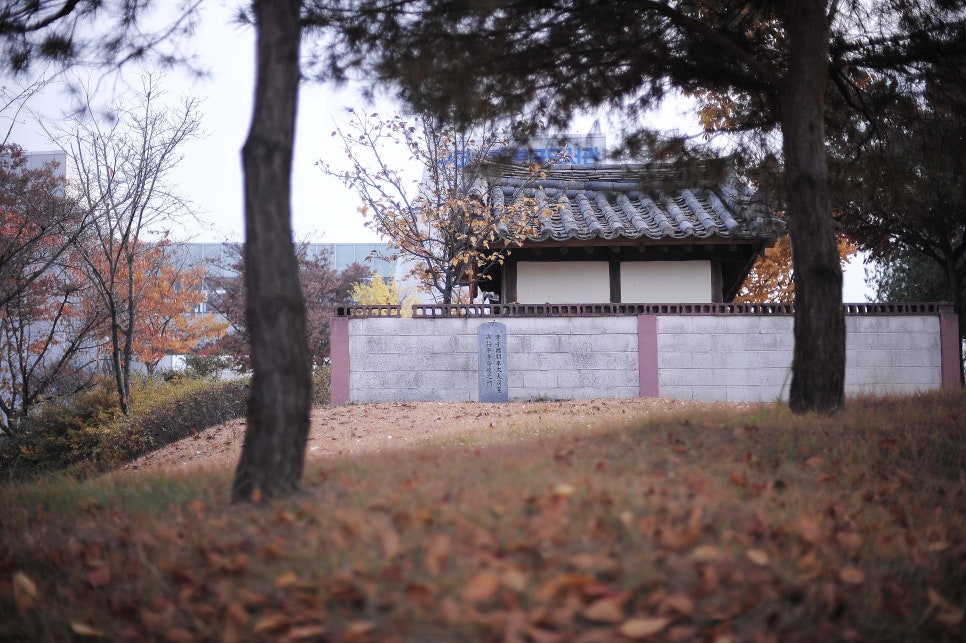 쏘느로천연제품 이미지