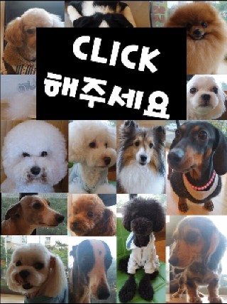크롱크롱스토어 이미지