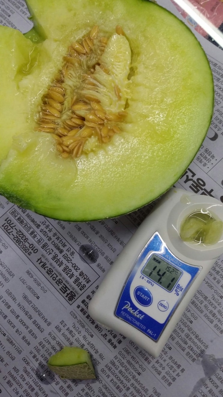 통통과일 이미지