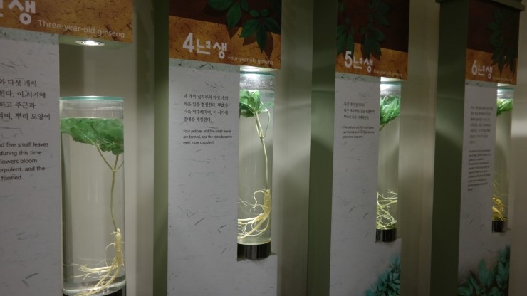 서린종합식품 이미지