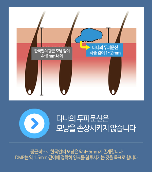 다나두피 이미지