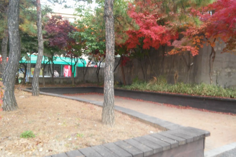 성광서점 이미지