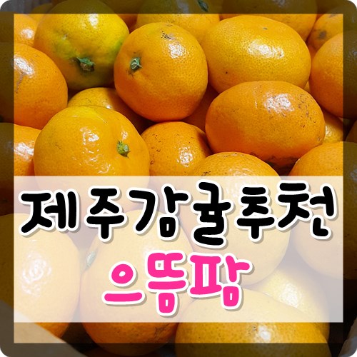 으뜸팜 이미지
