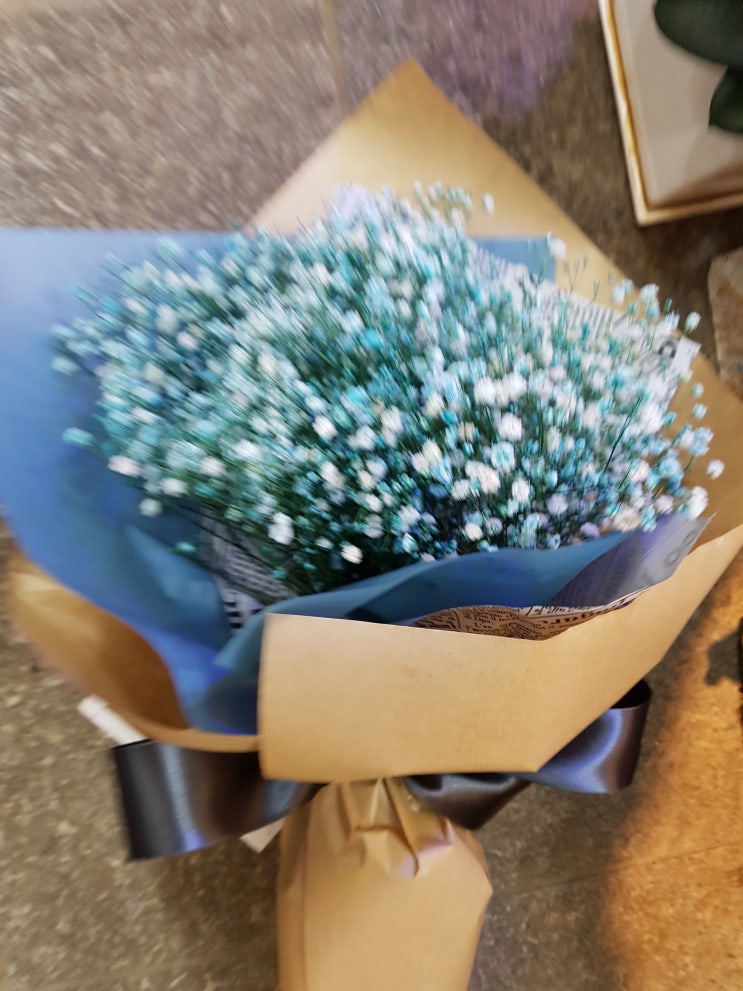 포시즌플라워 이미지