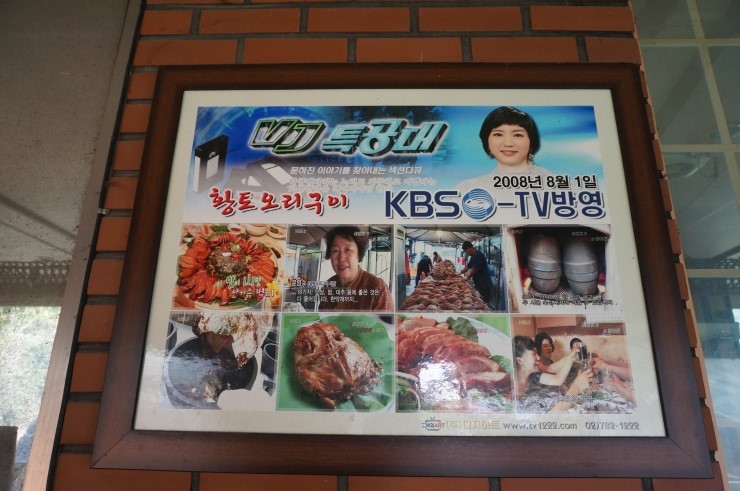 황토오리 이미지