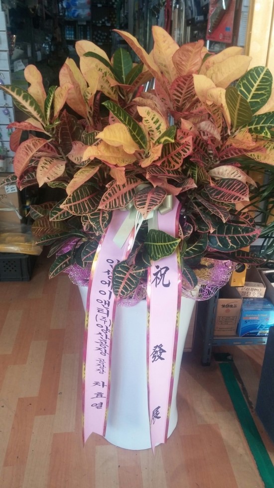 대동전기철물 이미지