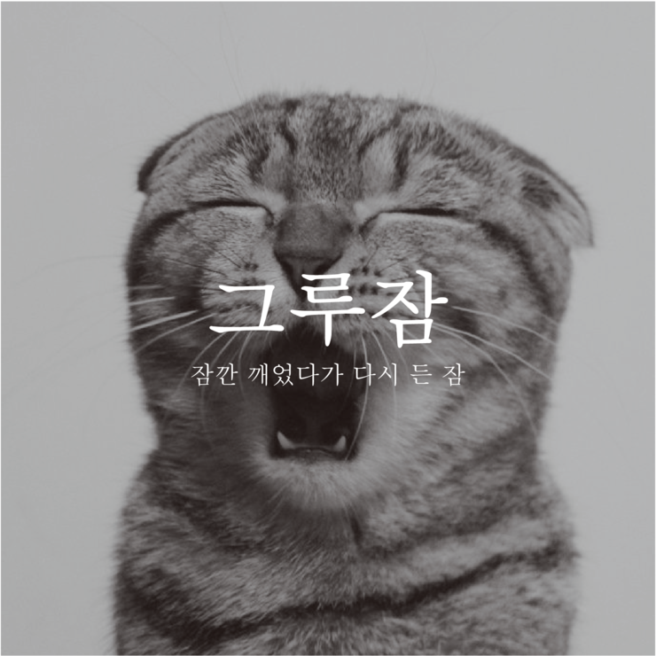 그루잠 이미지