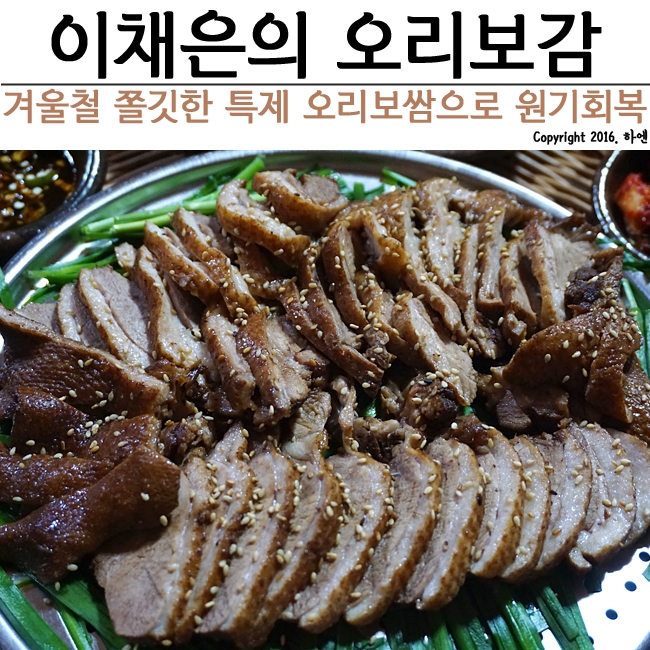 오리보감 이미지