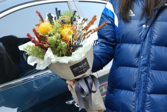 네오타이드 이미지