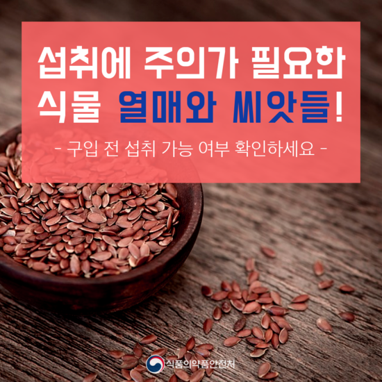 씨앗피트니스 이미지