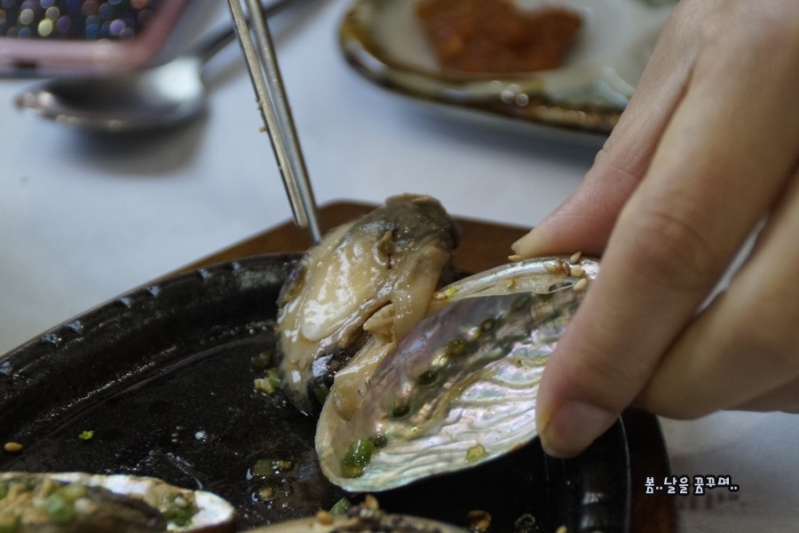 백사장회센타 이미지