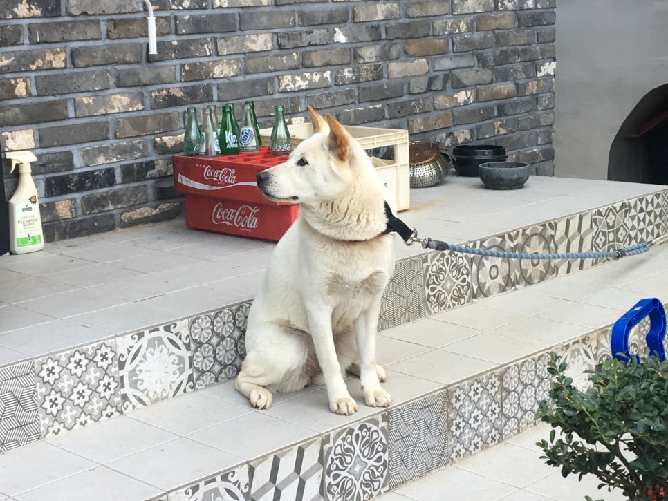 북동가든 이미지