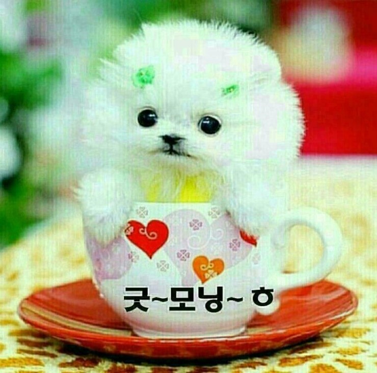 태경회계법인 이미지