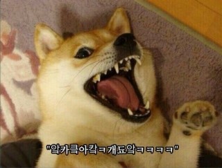 보물섬이벤트 이미지