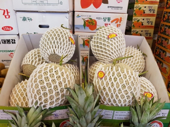 해돋이청과 이미지