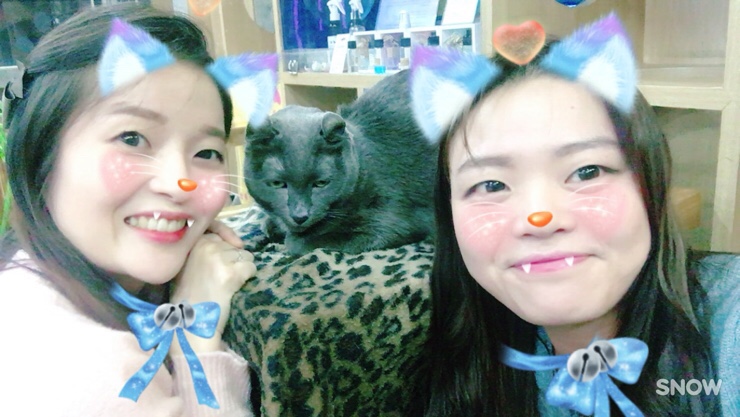 고양이다락방 이미지