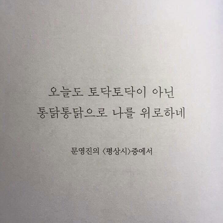 대구반야월막창 이미지