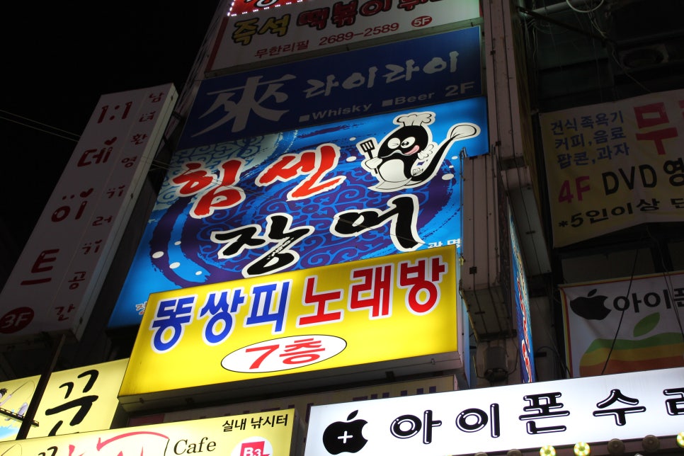 힘센장어오리 이미지