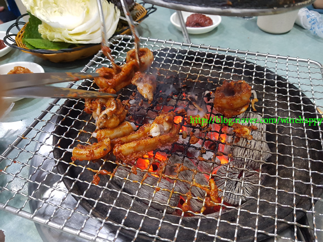 산호포차 이미지